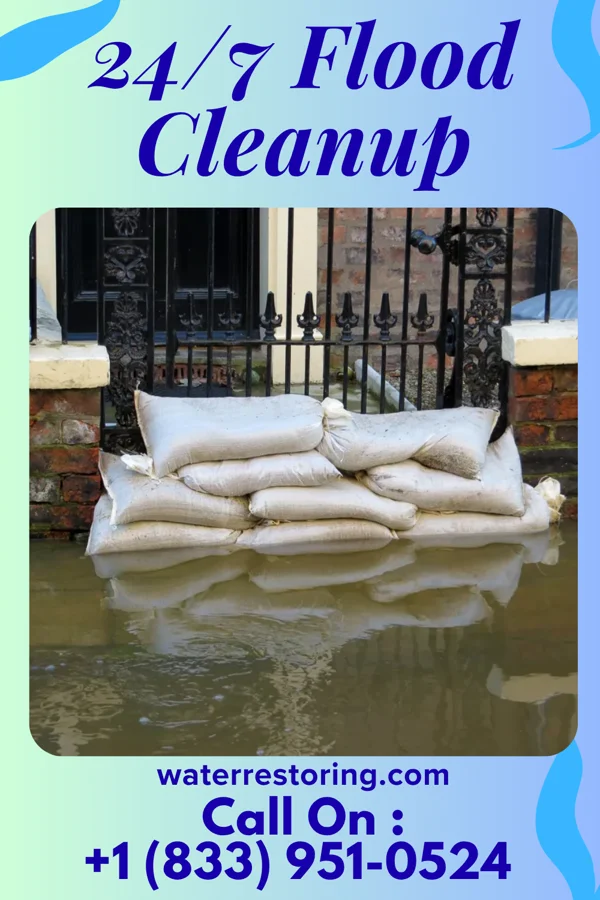 24/7 Flood Cleanup in Center, TX