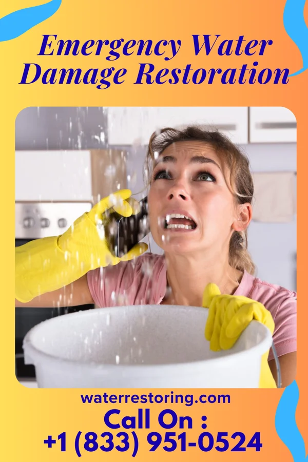 Emergency Water Damage Restoration in Center, TX